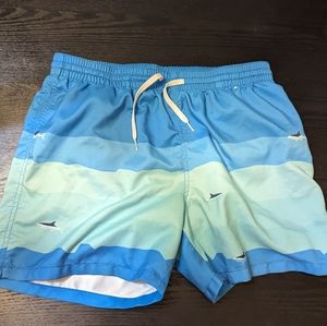 Chubbies Swim Trunks SZ XL